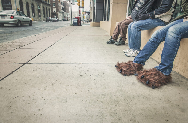 Bear Slippers Free Stock Photo