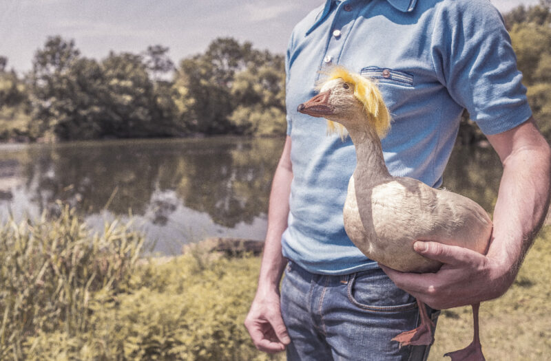 Man Holding Goose Free Stock Photo