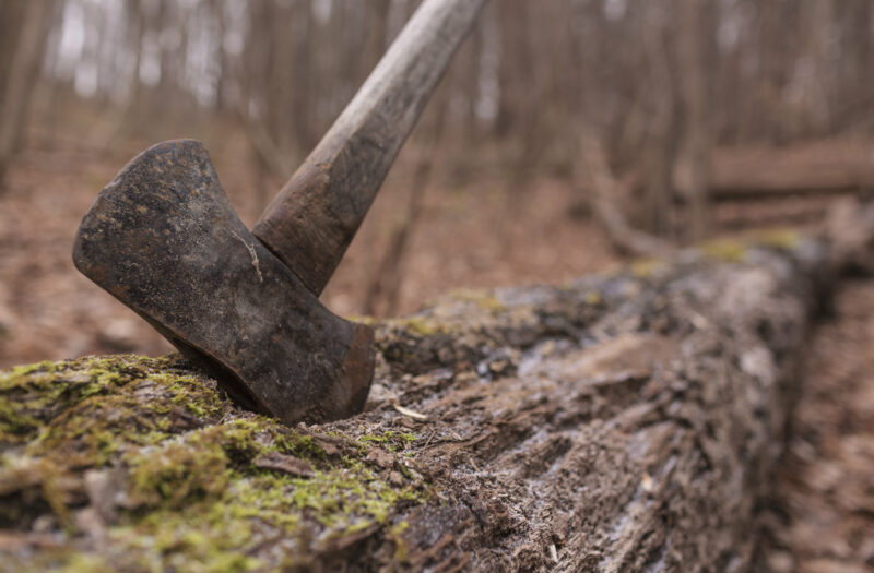 Axe Tree Wood Free Stock Photo