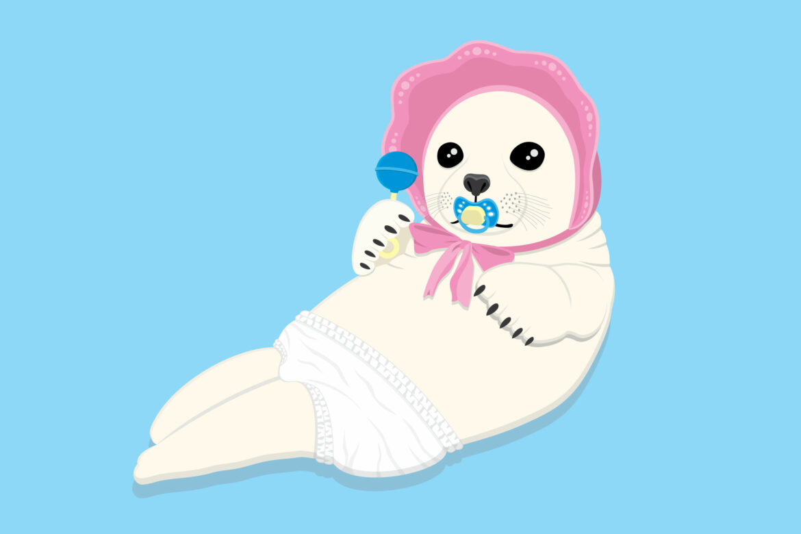 Baby Seal Free Stock Vector