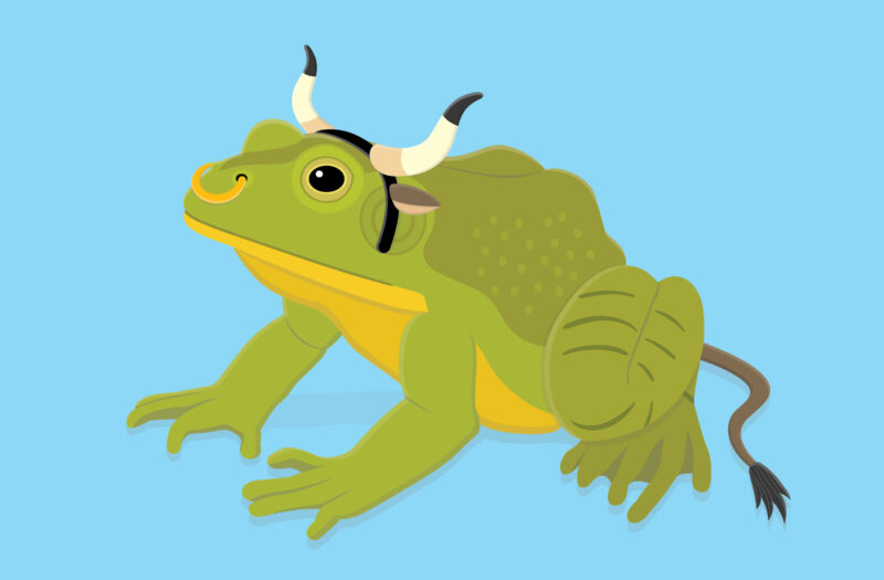 Bull frog Free Stock Vector