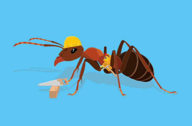 View Ant Working Free Stock Vector