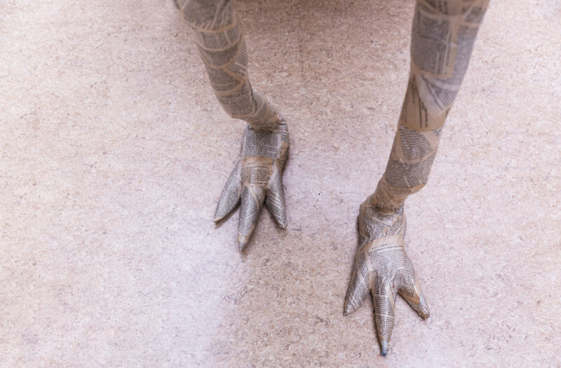 Monster Feet Free Stock Photo