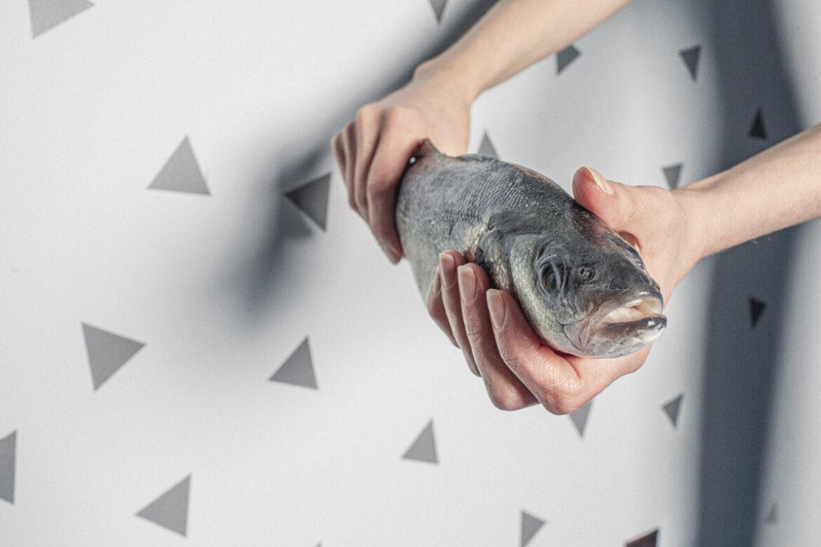 Hands Holding Fish Free Stock Photo