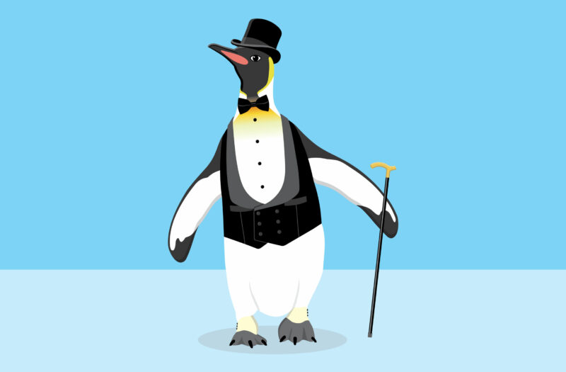 Funny Penguin Free Stock Vector