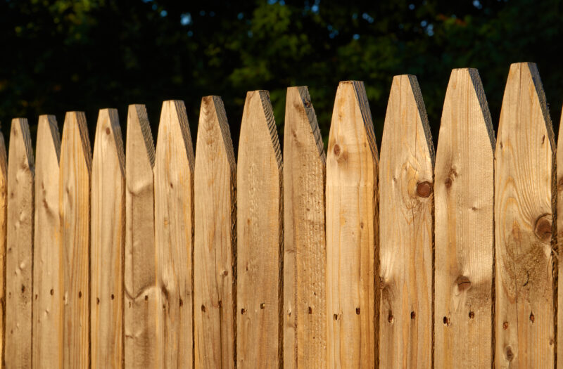 Wooden fence garden Free Stock Photo